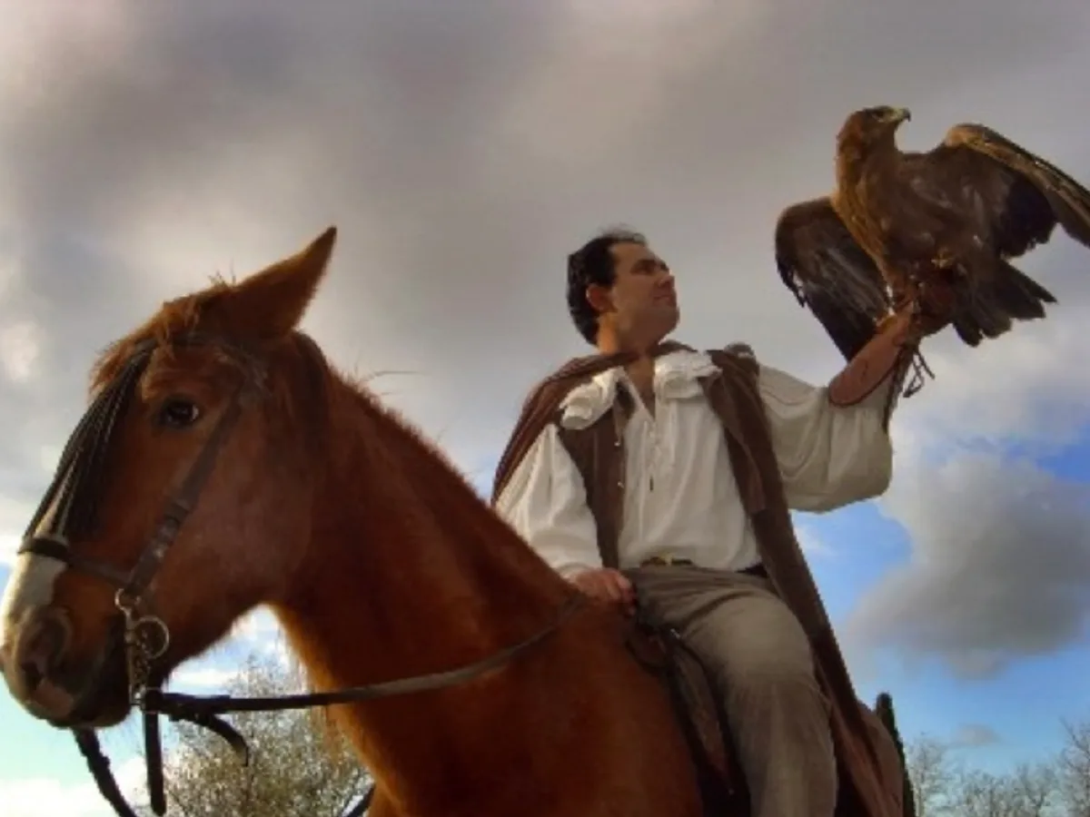 Fauna y Acción, 2000s