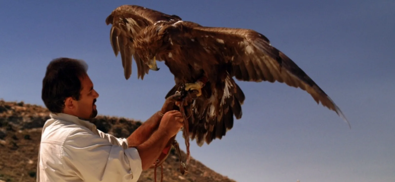 Dando vuelo al águila, en el set