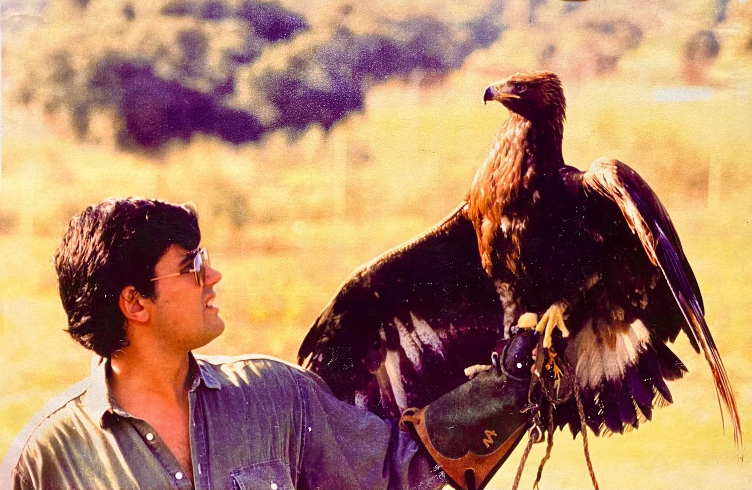Zoo Parque Grande, Años 90