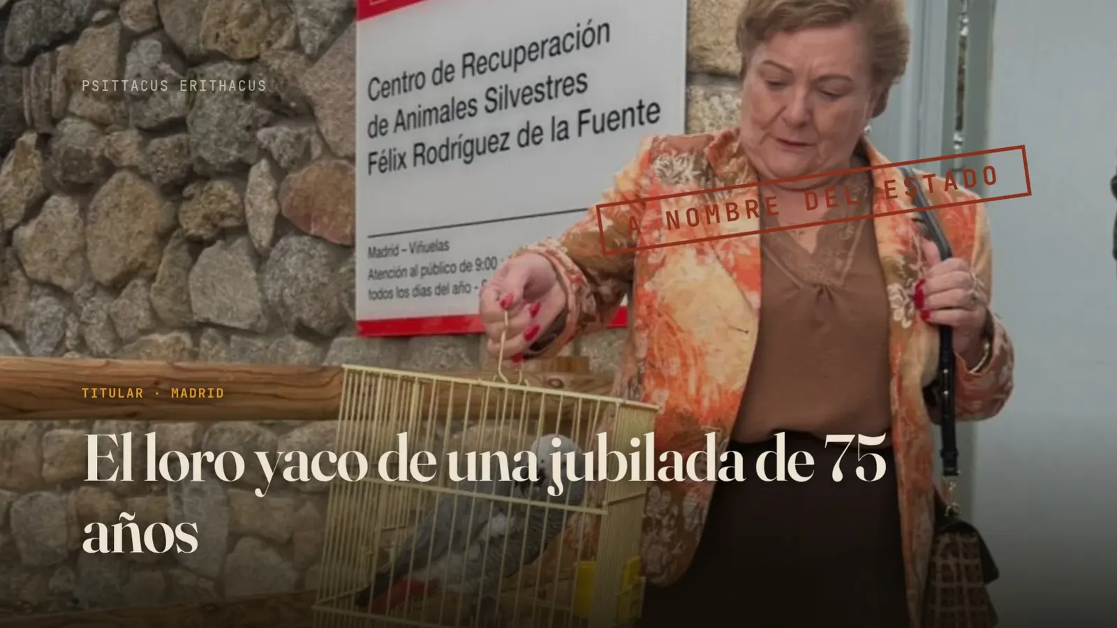 Diapositiva 5: El loro yaco de la jubilada — A NOMBRE DEL ESTADO