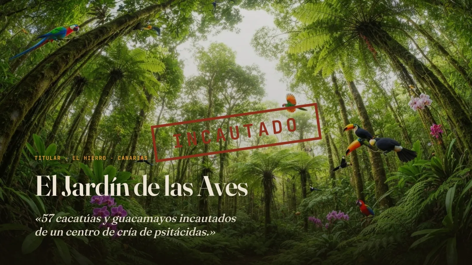 Diapositiva 7: El Jardín de las Aves, El Hierro — INCAUTADO