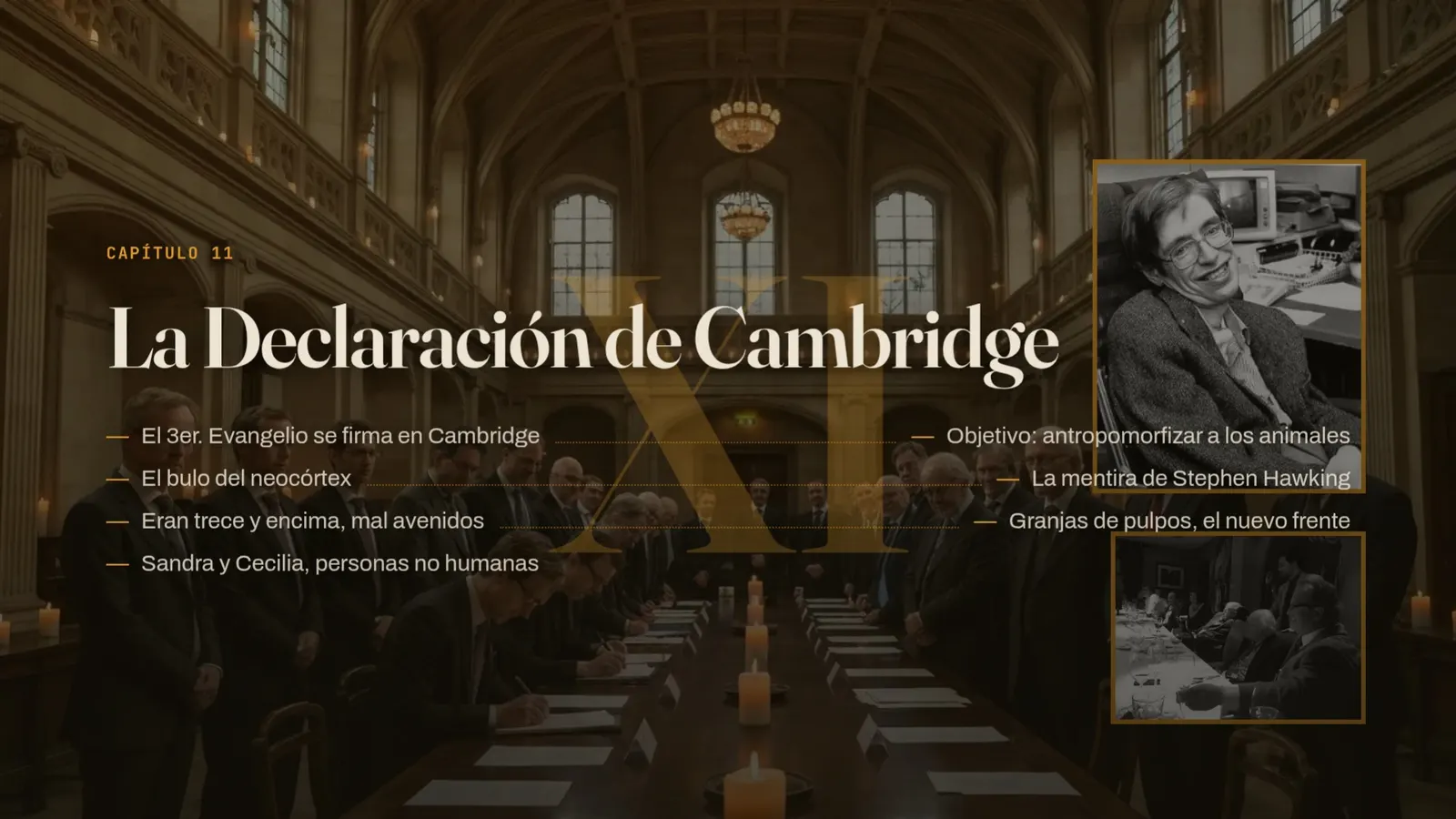 Diapositiva 36: Cap 11 · La Declaración de Cambridge