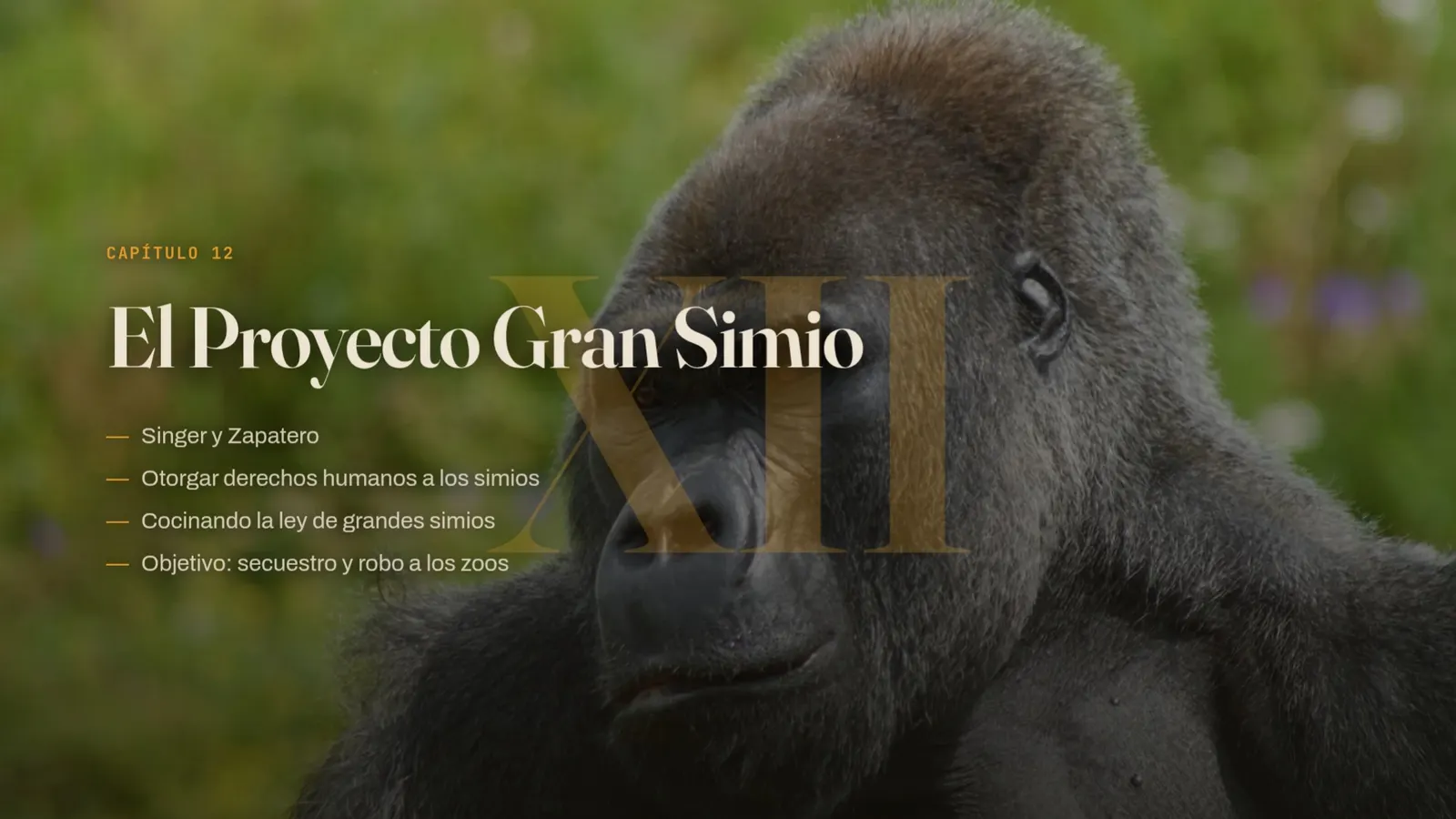 Diapositiva 39: Cap 12 · El Proyecto Gran Simio