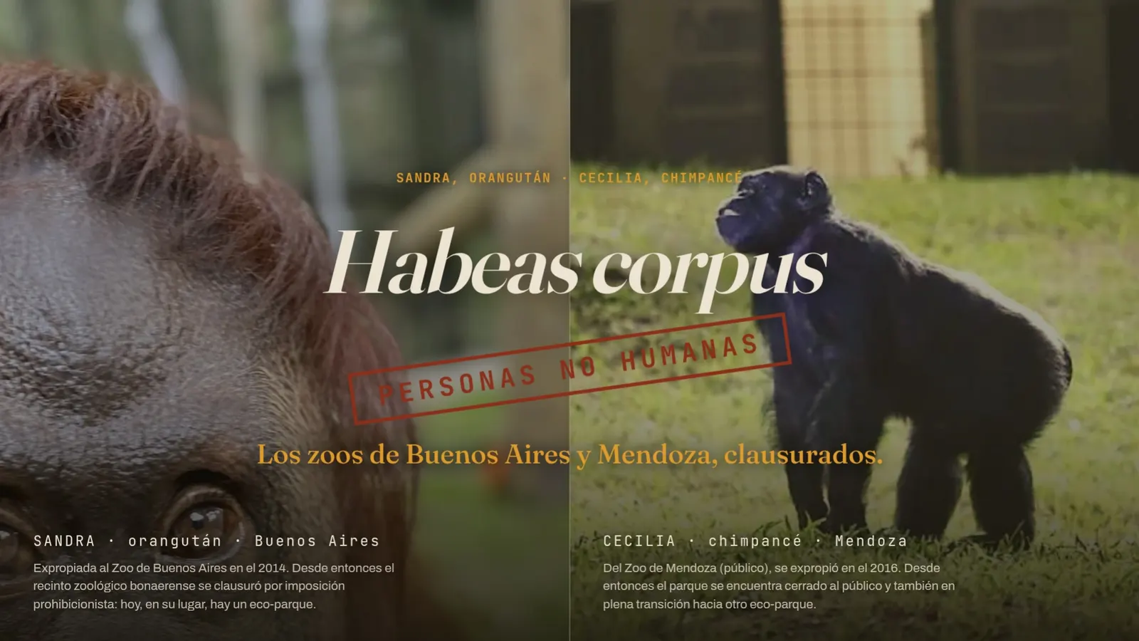 Diapositiva 41: Sandra y Cecilia — habeas corpus