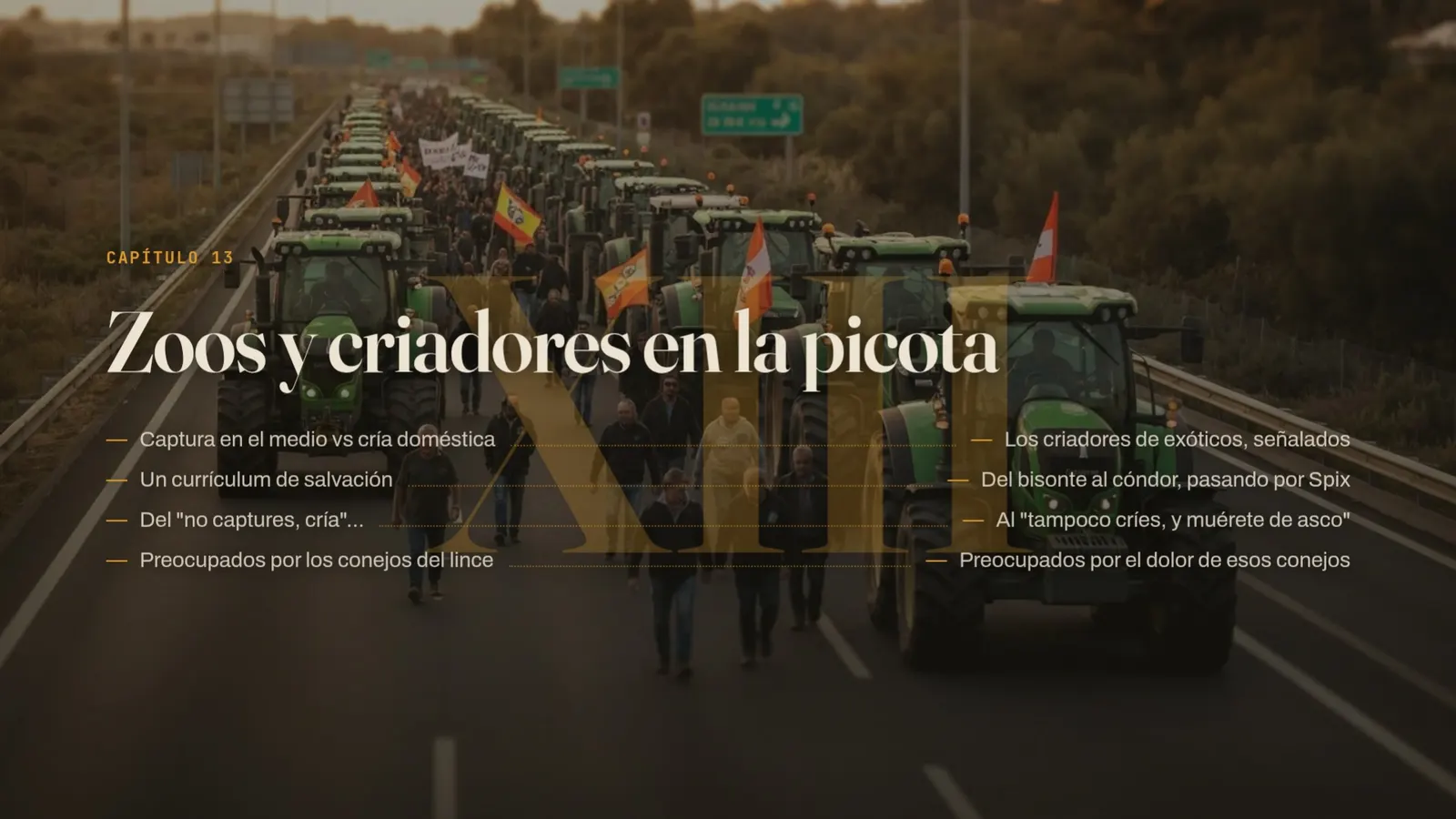 Diapositiva 42: Cap 13 · Zoos y criadores en la picota
