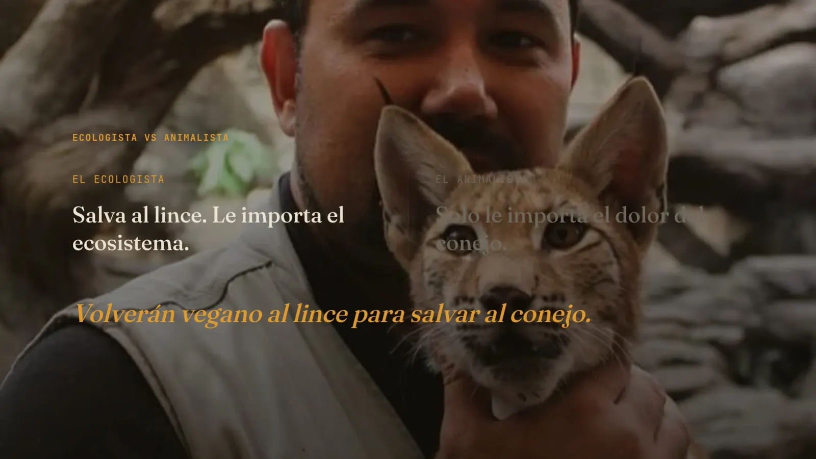 Diapositiva 45: Los conejos del lince