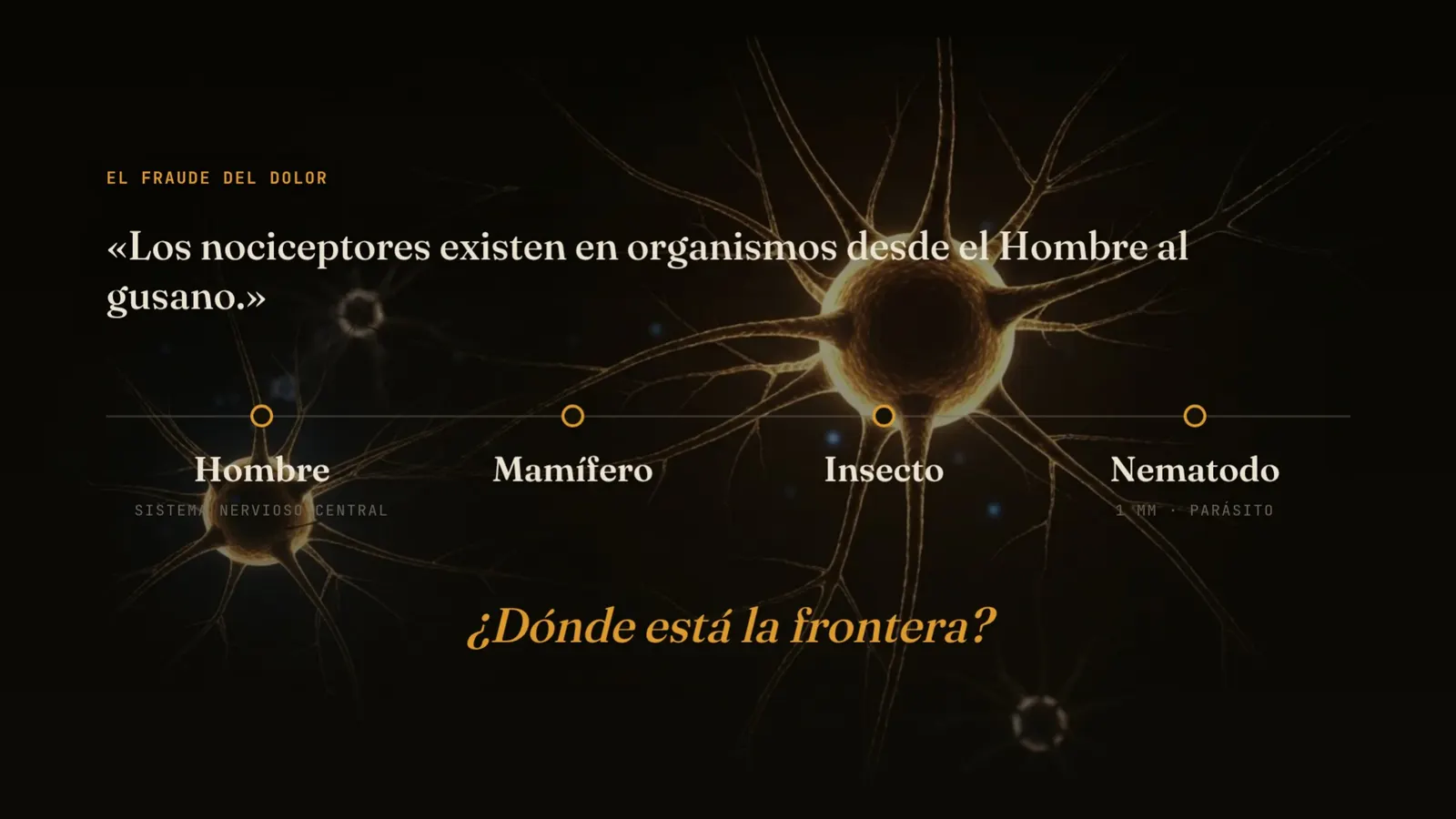 Diapositiva 47: El fraude del dolor