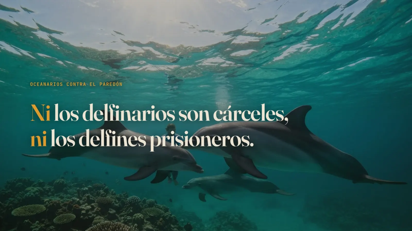 Diapositiva 49: Ni cárceles, ni prisioneros