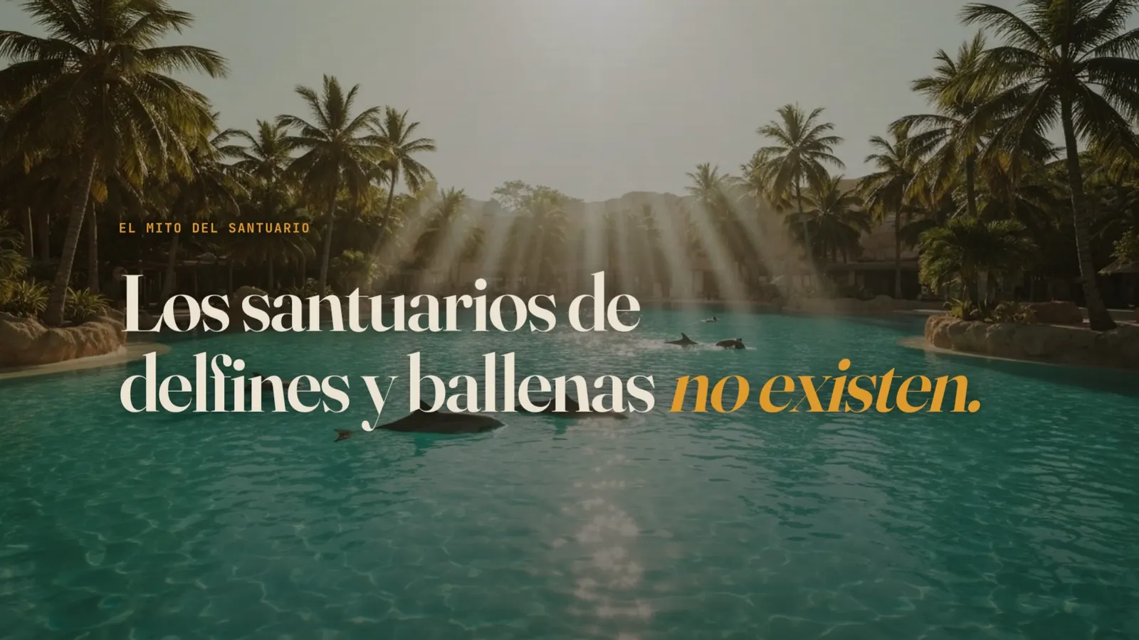 Diapositiva 50: Los santuarios de delfines no existen