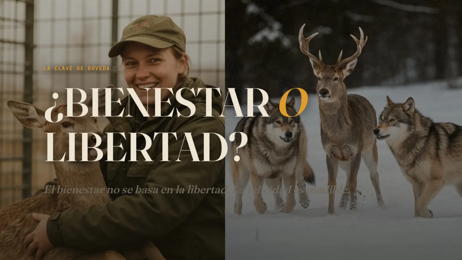 Diapositiva 53: El bienestar no se basa en la libertad, sino en la felicidad